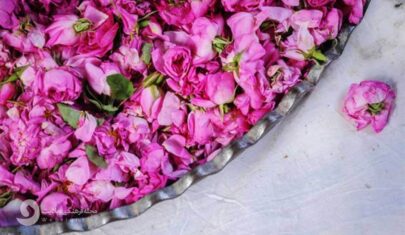 خواب خوش را از که جوییم