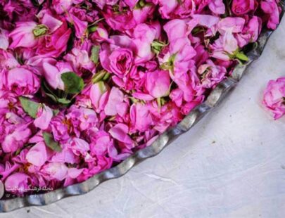 خواب خوش را از که جوییم