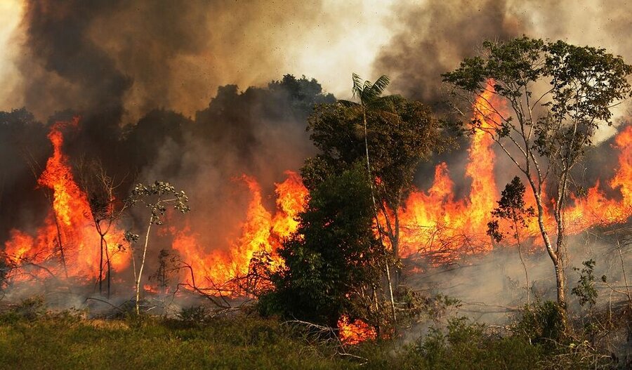 جنگل های زاگرس همچنان در آتش می سوزد