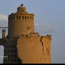 کبوتر خانه در ایران