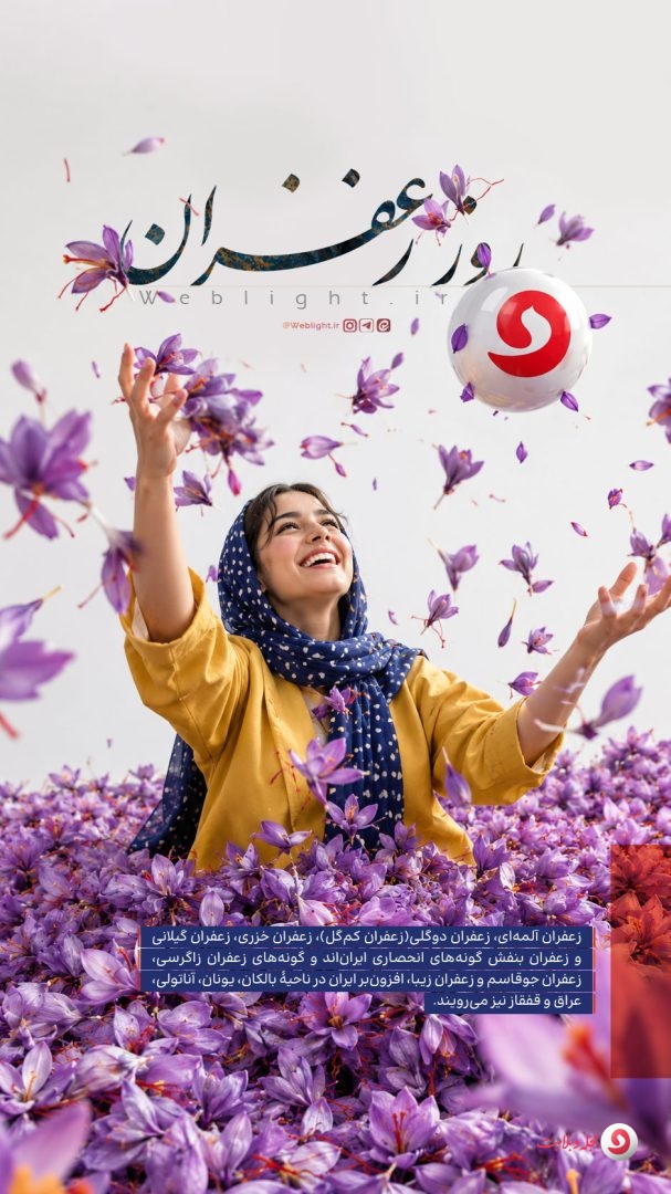 زعفران؛ میراثی کهن در تلاقی تاریخ، فرهنگ، دانش و اقتصاد ایران
