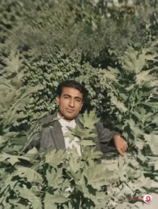 پاریزی در پاریز