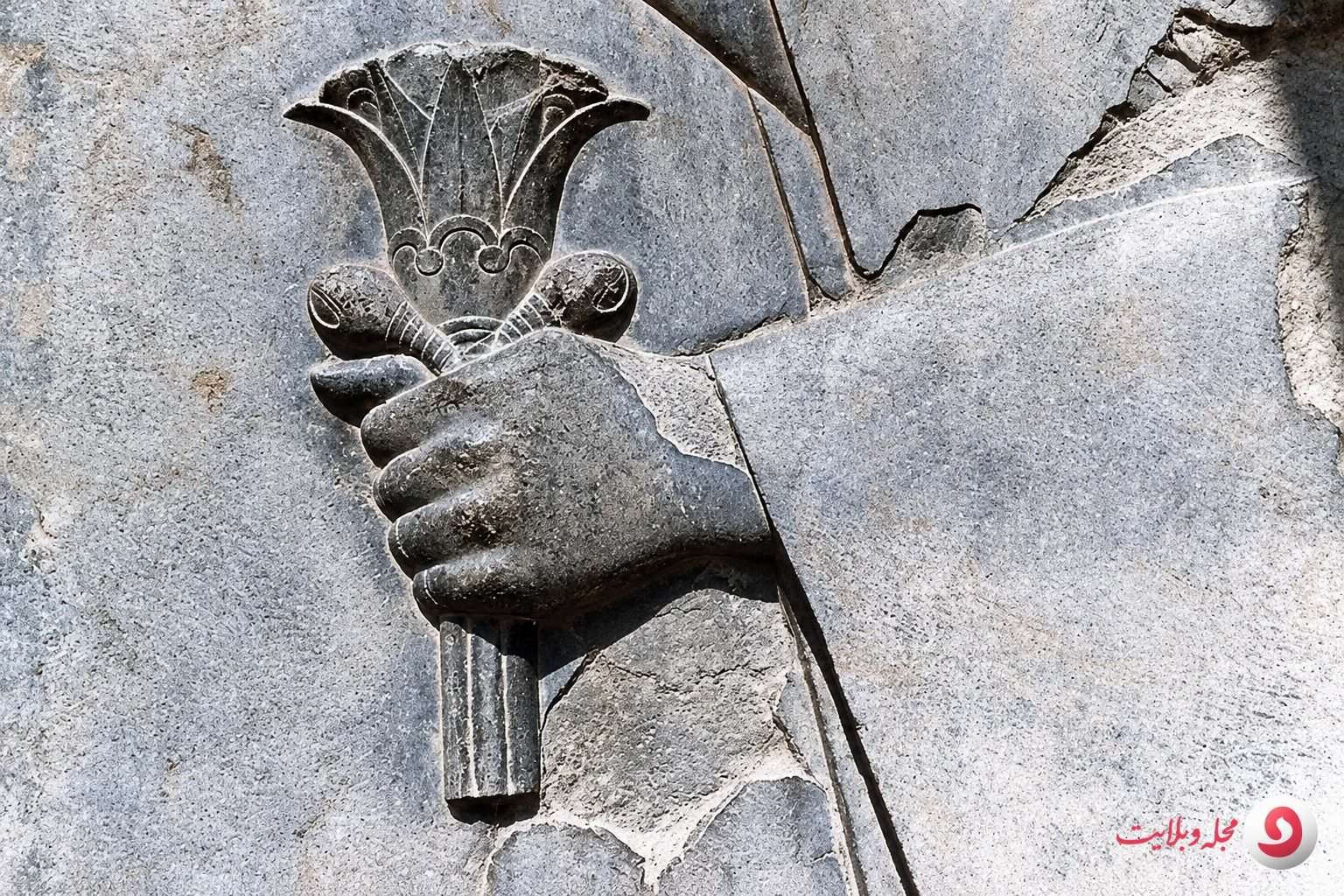گل انار و کوروش هخامنشی