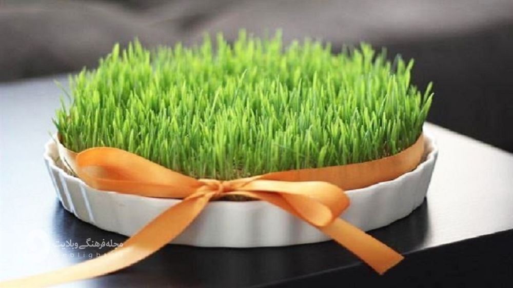 سبزه سبز کردن