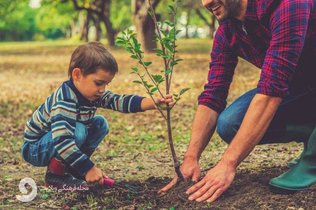 کاشت درخت ، جبران نابودی جنگل
