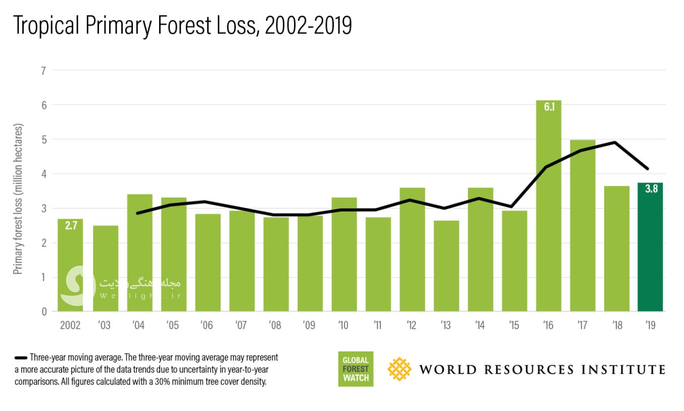 آمار وضعیف تخریب جنگل های جهان