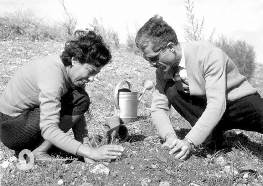 جلال آل احمد و سیمین دانشور