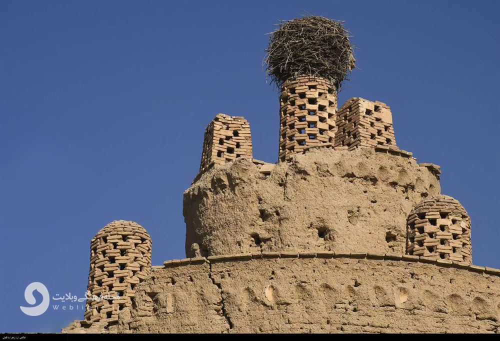 کبوترخانه